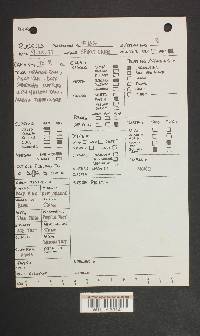 Image Associated With the Occurrence