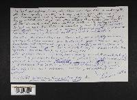 Cortinarius fervidus image