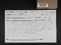 Image Associated With the Occurrence