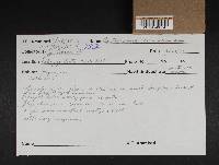 Image Associated With the Occurrence