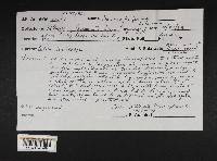 Cortinarius fervidus image