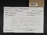 Cortinarius anomalus image