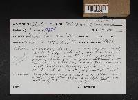 Image Associated With the Occurrence