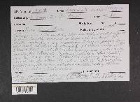 Image Associated With the Occurrence
