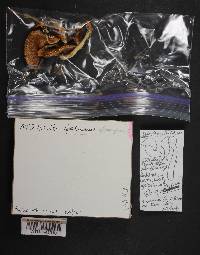 Image Associated With the Occurrence