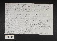 Cortinarius flammuliformis image