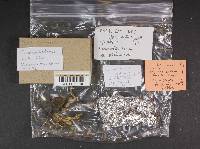 Thumbnail image of current specimen