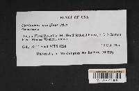 Image Associated With the Occurrence