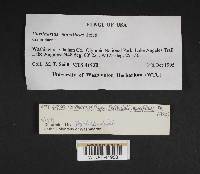 Image Associated With the Occurrence