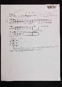 Image Associated With the Occurrence