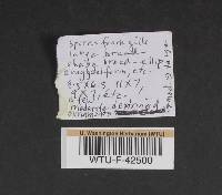 Image Associated With the Occurrence