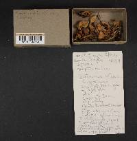 Image Associated With the Occurrence