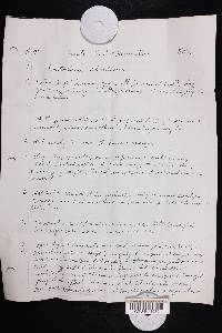 Entoloma abortivum image