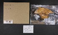 Thumbnail image of current specimen