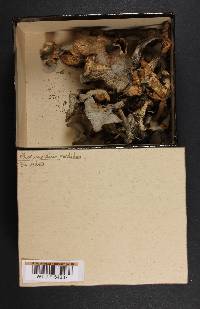 Image Associated With the Occurrence