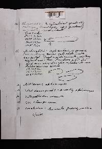 Russula emetica image