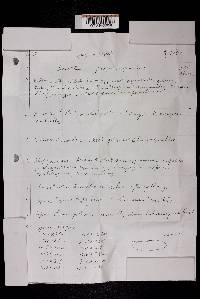 Suillus pictus image