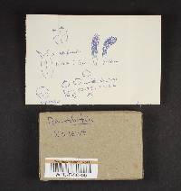 Image Associated With the Occurrence