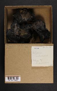 Image Associated With the Occurrence