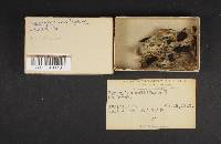 Image Associated With the Occurrence