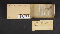 Media resource of Cordyceps michiganensis