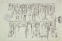 Ramaria stricta image