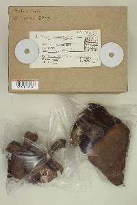 Image Associated With the Occurrence