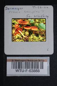 Image Associated With the Occurrence