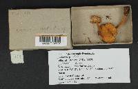 Image Associated With the Occurrence