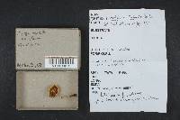 Image Associated With the Occurrence