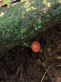 Image Associated With the Occurrence