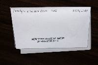 Media resource of Psilocybe silvatica