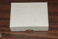 Thumbnail image of current specimen