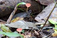 Image Associated With the Occurrence