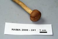 Cortinarius croceus image