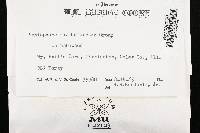 Media resource of Peniophora colorea