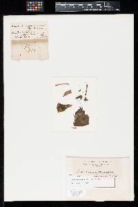 Image Associated With the Occurrence