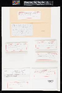 Chloroscypha chloromela image