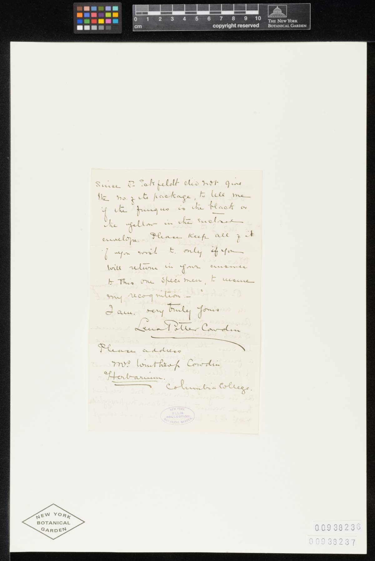 Valsaria rubricosa image