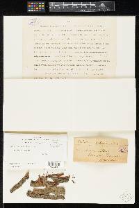 Image Associated With the Occurrence