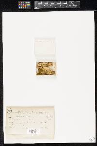 Image Associated With the Occurrence