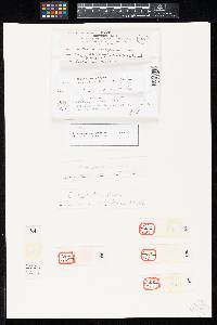 Media resource of Tricladium marylandicum