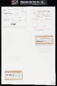 Image Associated With the Occurrence