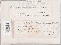 Corticium auberianum image