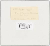 Image Associated With the Occurrence