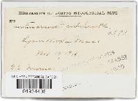 Thumbnail image of current specimen