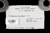 Earliella scabrosa image