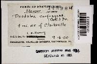 Image Associated With the Occurrence