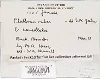 Image Associated With the Occurrence