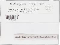 Media resource of Hysterangium fragile